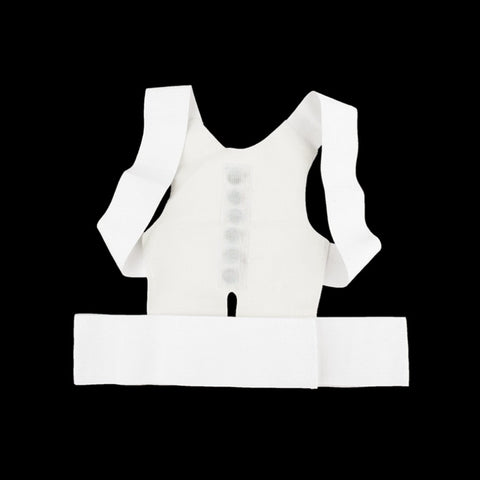 Posture Back Support
