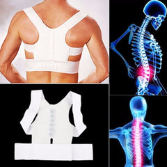 Posture Back Support