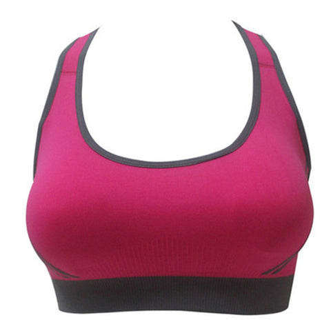 Seamless Padded Sports Bra