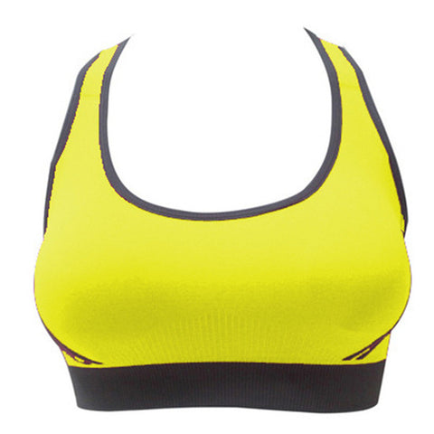 Seamless Padded Sports Bra
